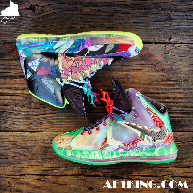 Lebron X What The Fehc 06