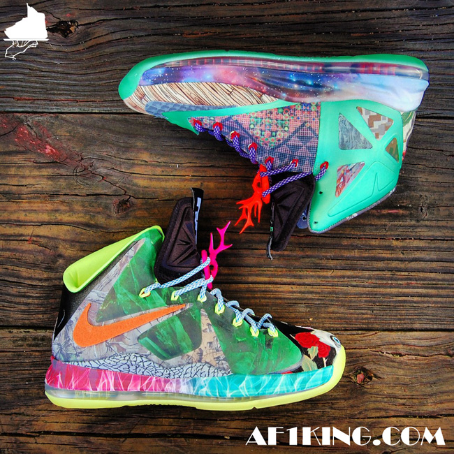 Lebron X What The Fehc 07