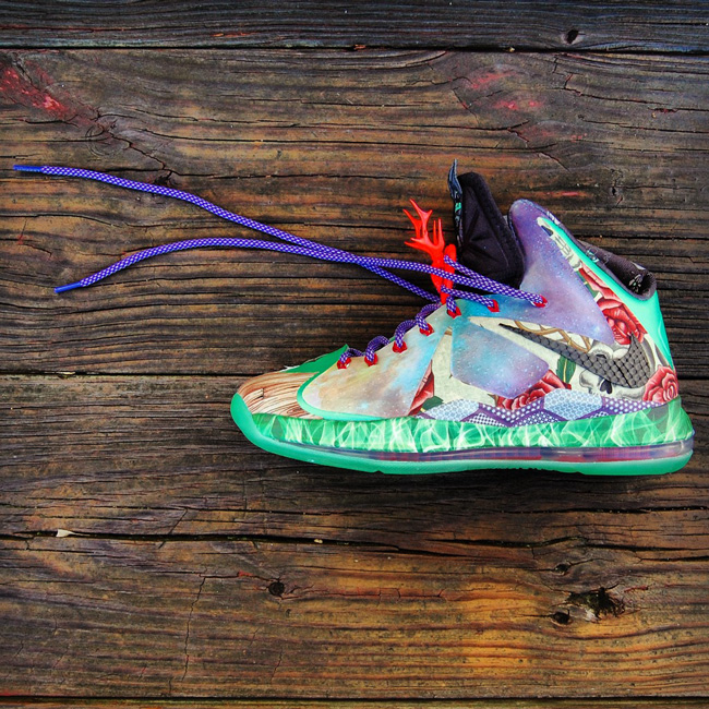 Lebron X What The Fehc 11