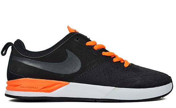 Nike Sb February 2014 Preview 6