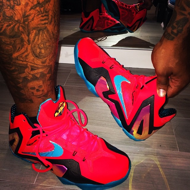 Darnell Dockett Nike Lebron 11 Elite 1