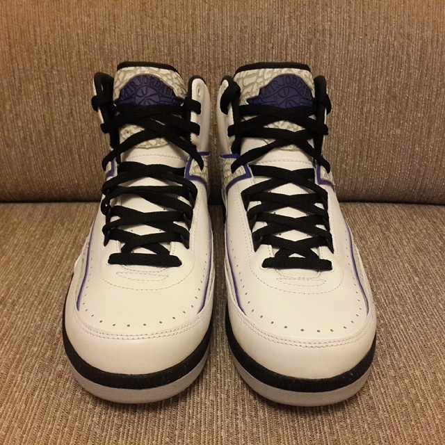 Elephant Print Air Jordan 2 Retro 03