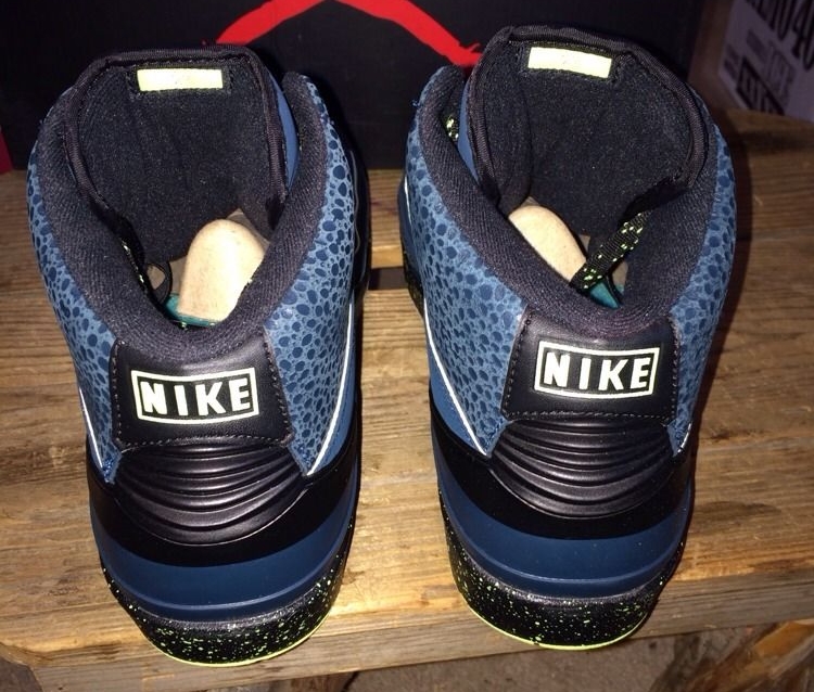 Night Shade Air Jordan 2 03