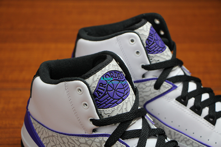 Air Jordan 2 Dark Concord Release Date 3