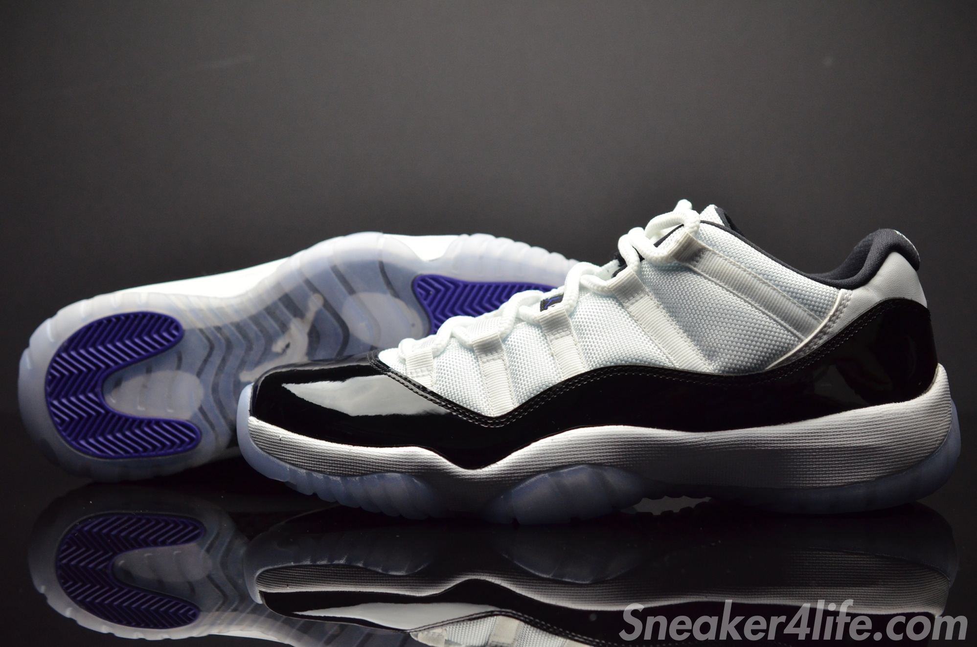 Concord Jordan 11 Lows 2
