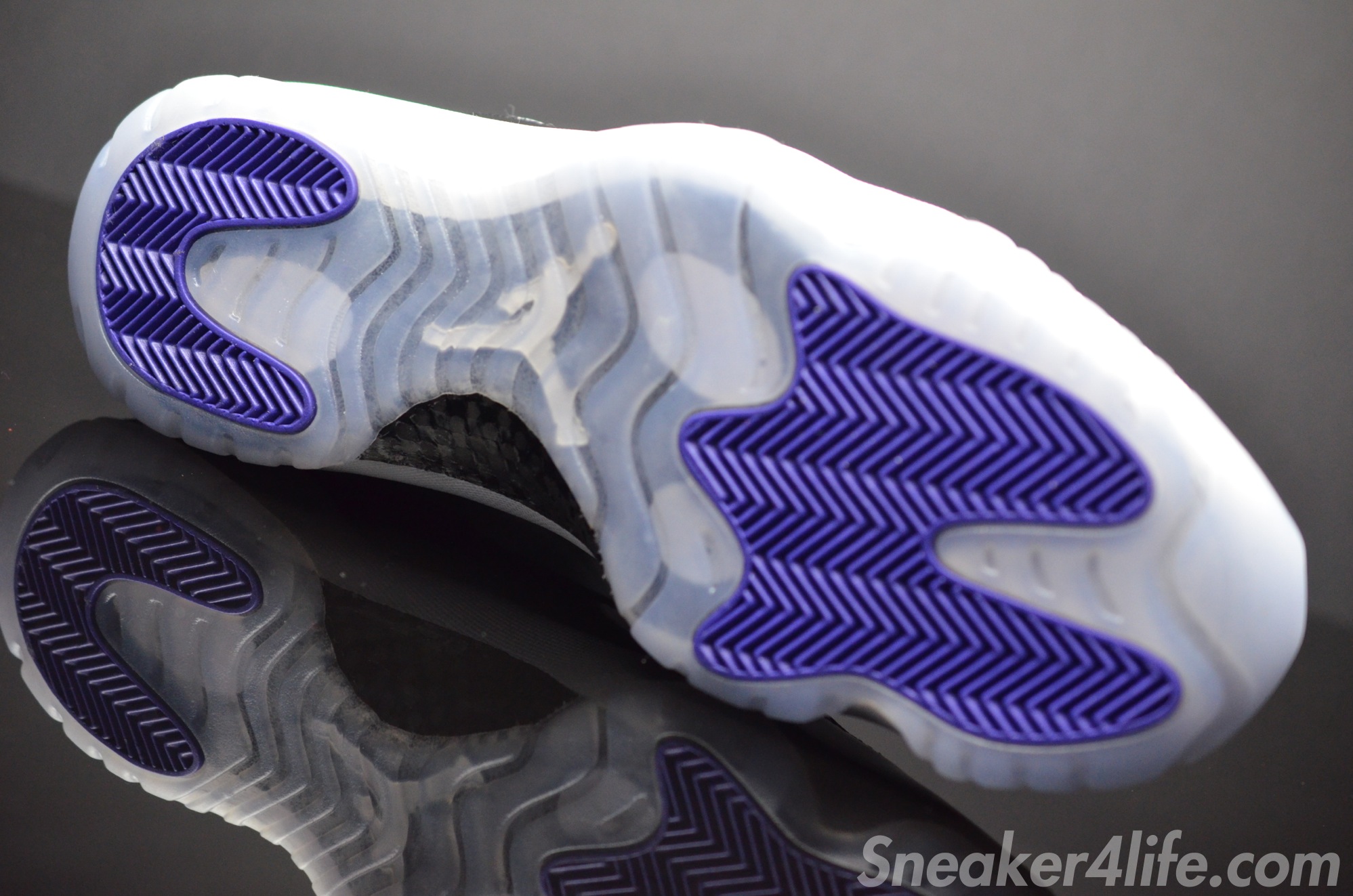 Concord Jordan 11 Lows 4
