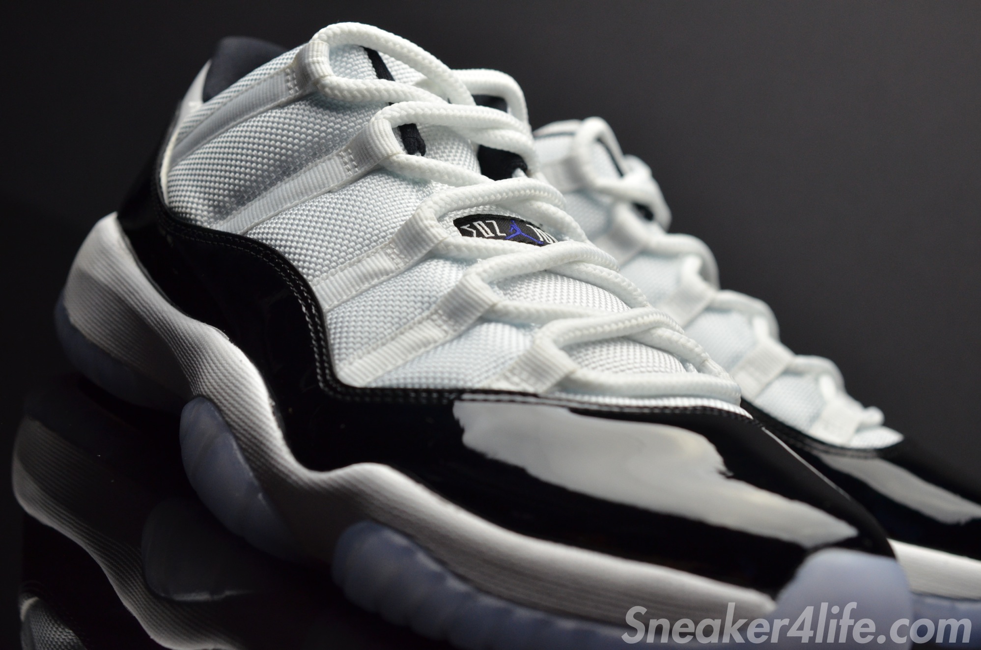 Concord Jordan 11 Lows 8