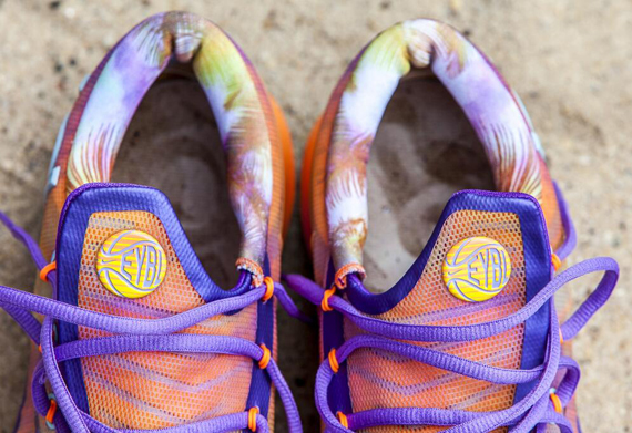 Eybl Kd 6