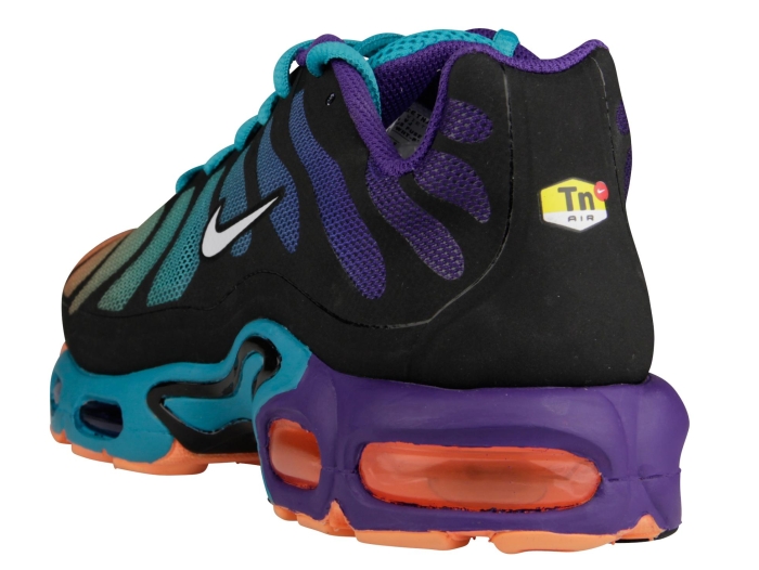 Nike Air Max Plus Multicolor Gradient 1