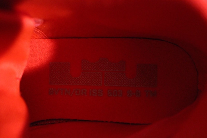 Nike Zoom Soldier 8 Lebron Sample 03