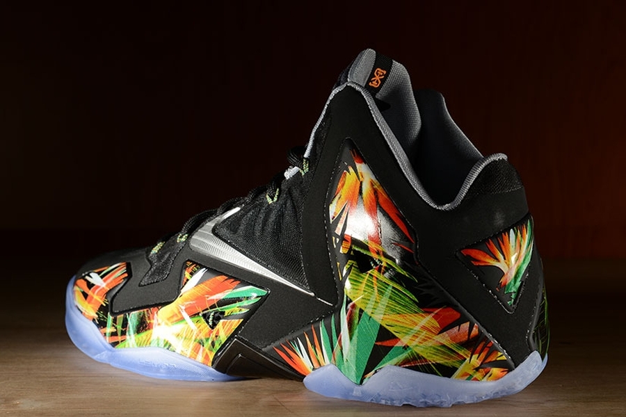 Everglades Nike Lebrons 01