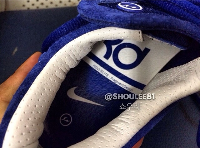 Fragment Kd 6 01