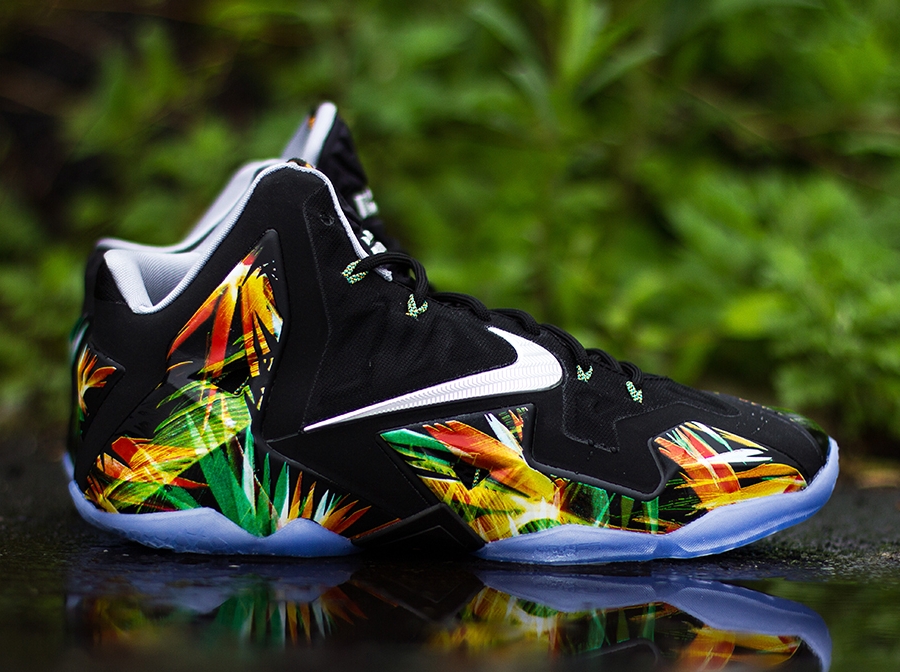 Lebron Everglades 01
