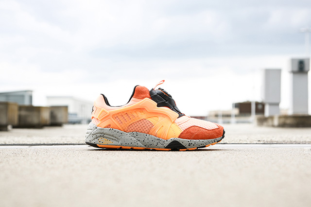 Puma Mesh Evolution Pack Part Ii 05