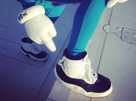 Concord 11 Hornets