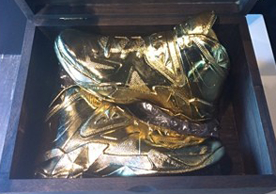 Nike LeBron Soldier 7 “Gold” PE for Tina Thompson