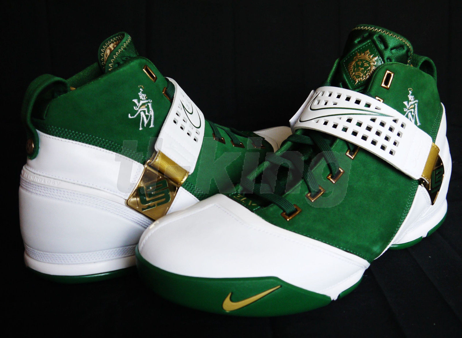 Nike Zoom Lebron V Svsm Pe 01