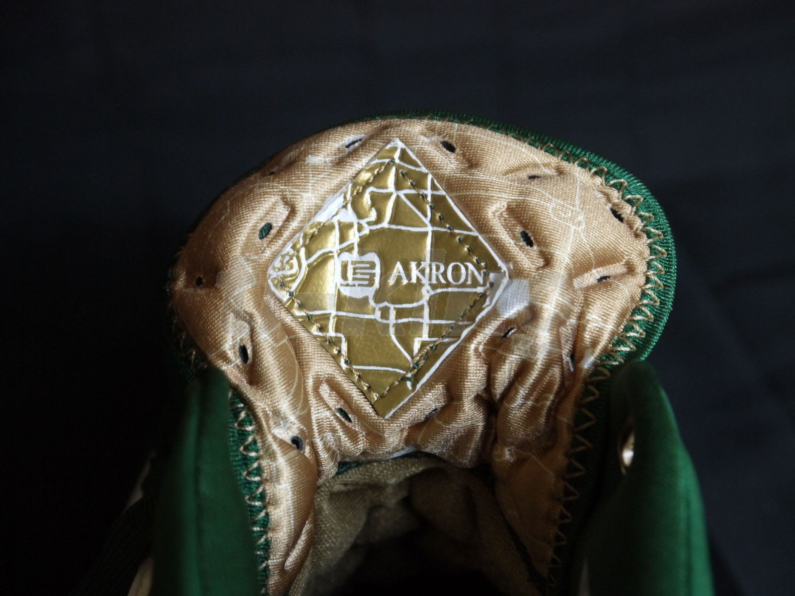 Nike Zoom Lebron V Svsm Pe 09