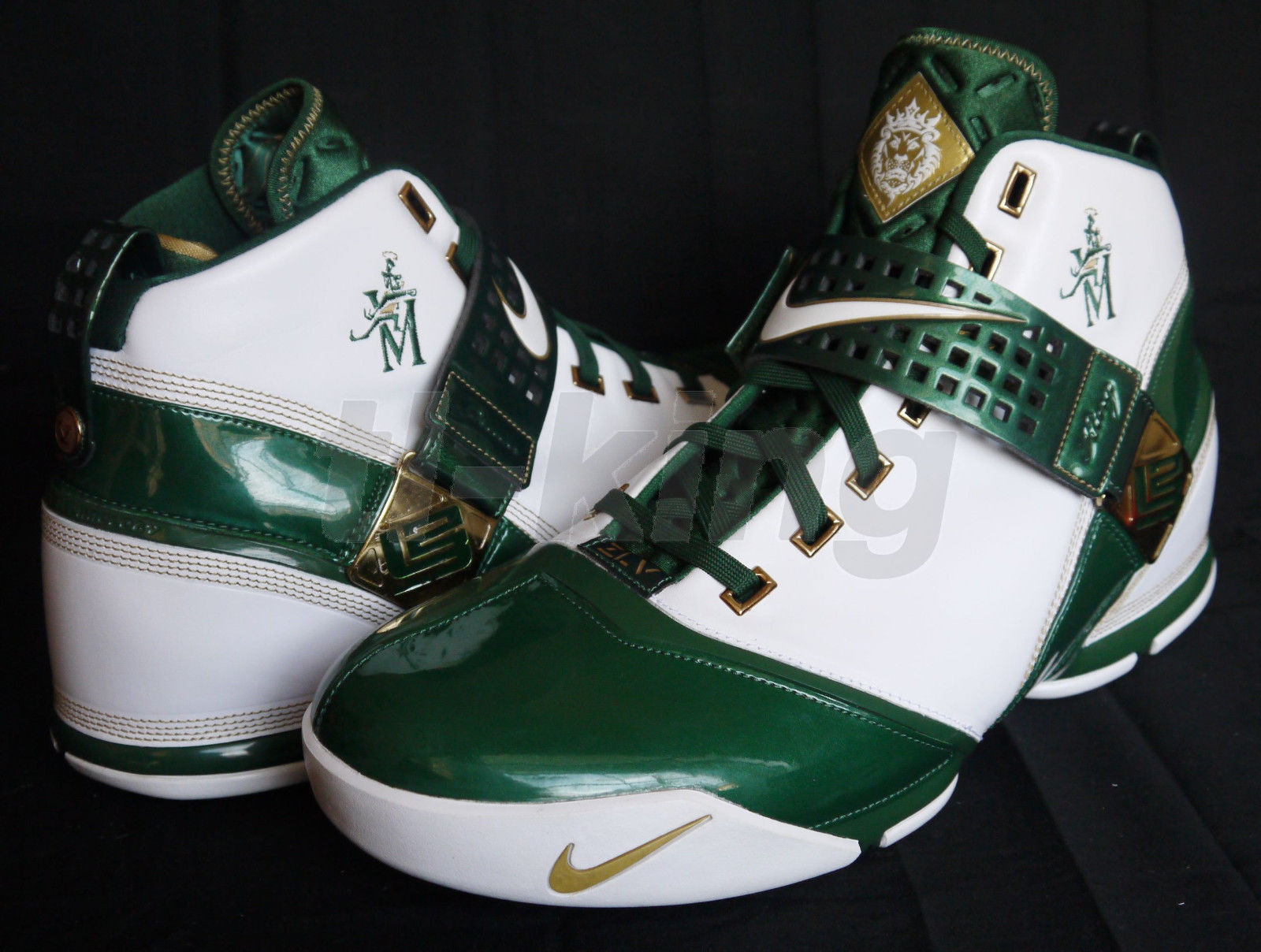 Nike Zoom Lebron V Svsm Pe 11