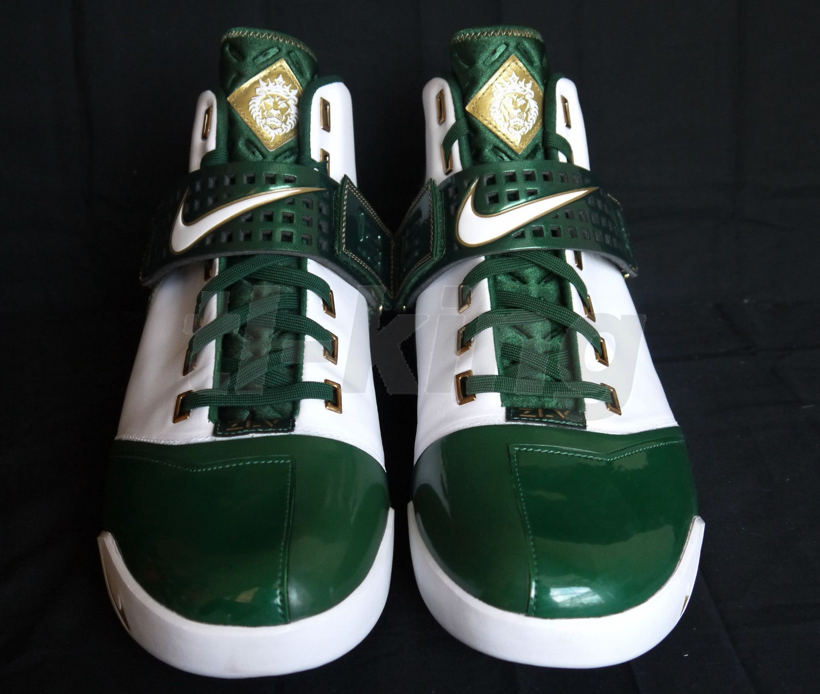 Nike Zoom Lebron V Svsm Pe 12