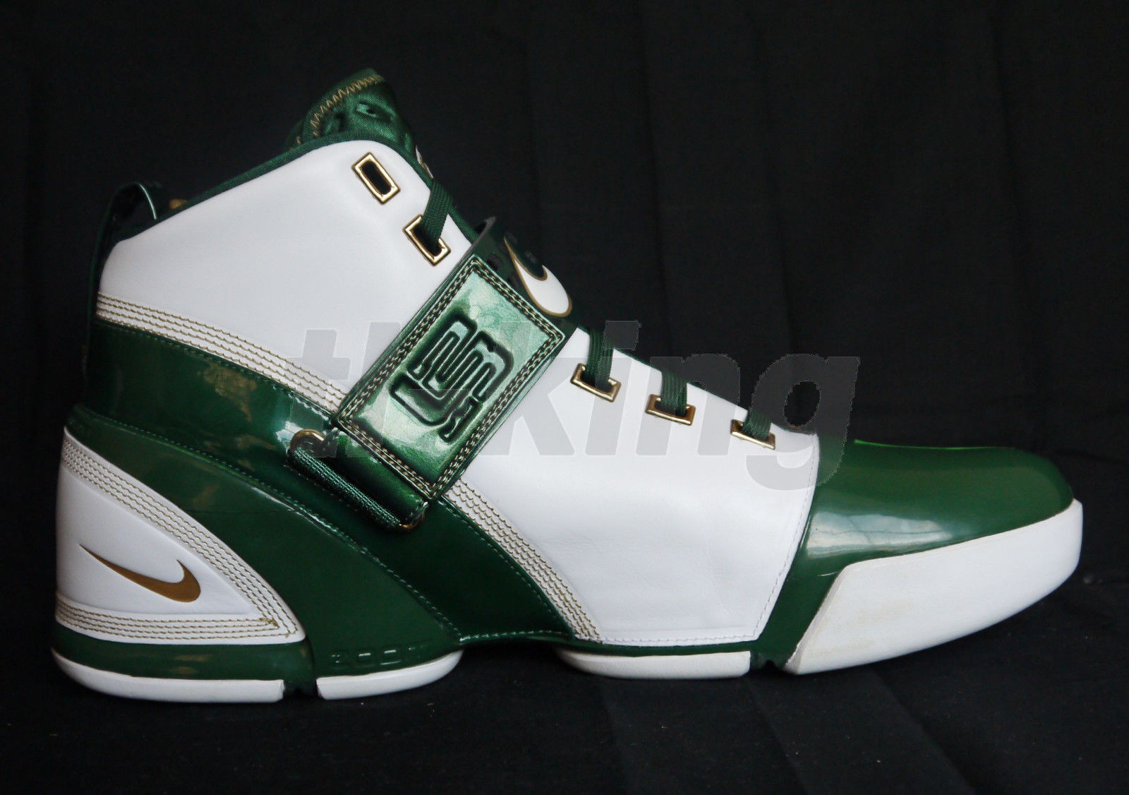 Nike Zoom Lebron V Svsm Pe 14