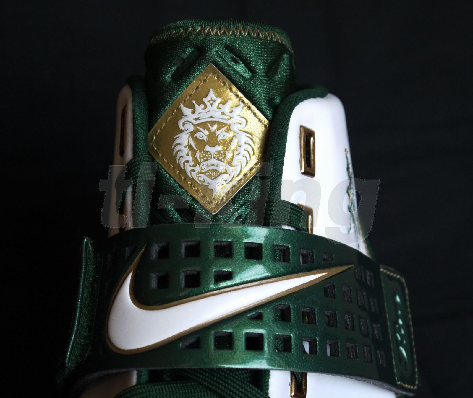 Nike Zoom Lebron V Svsm Pe 15