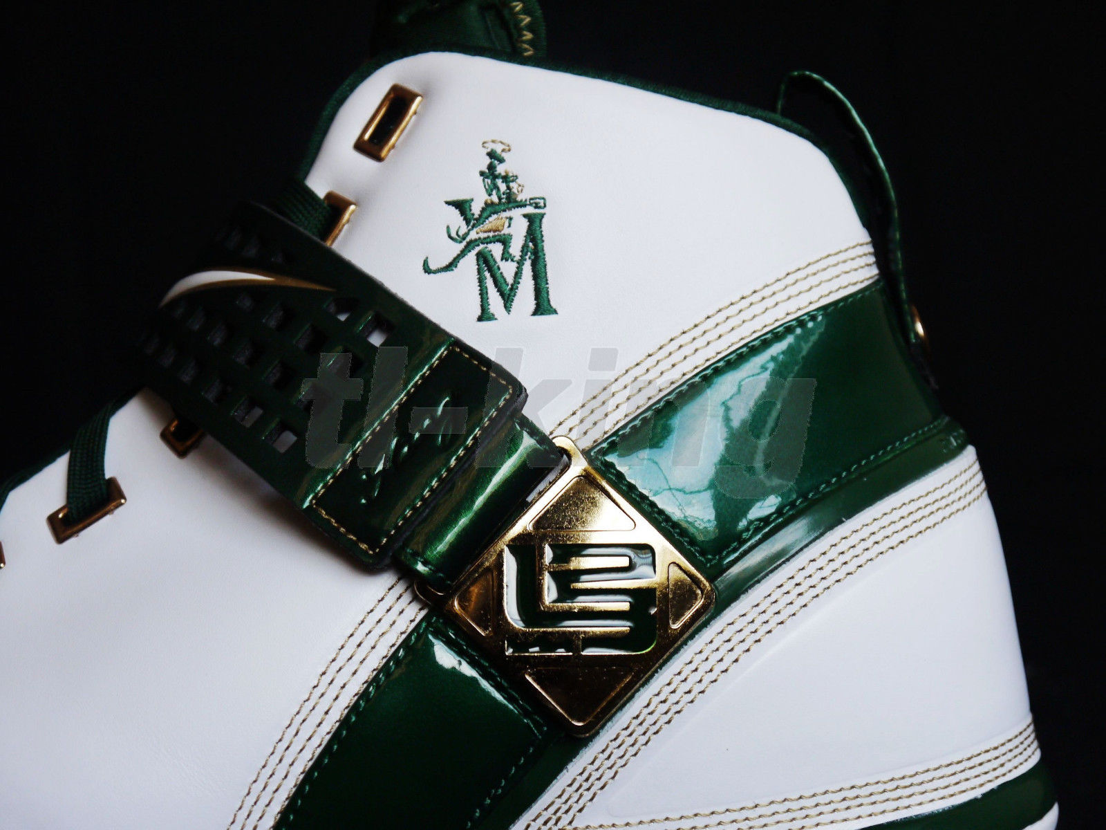 Nike Zoom Lebron V Svsm Pe 16