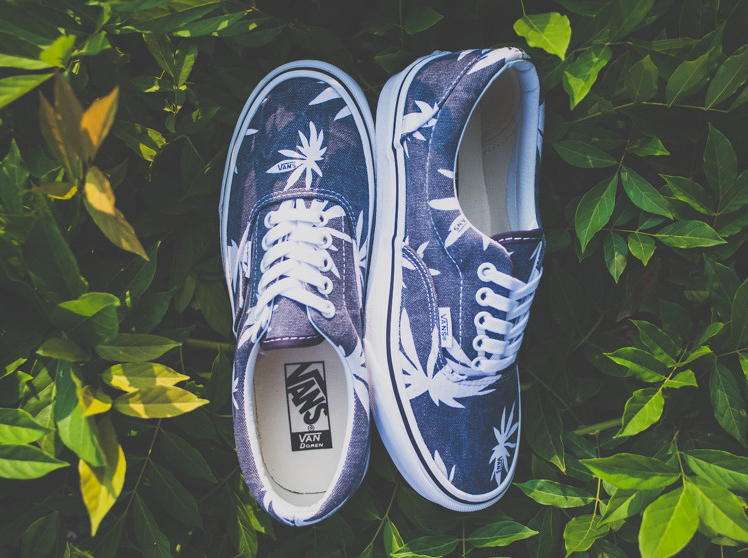 Vans Doren Era Navy Palm 01