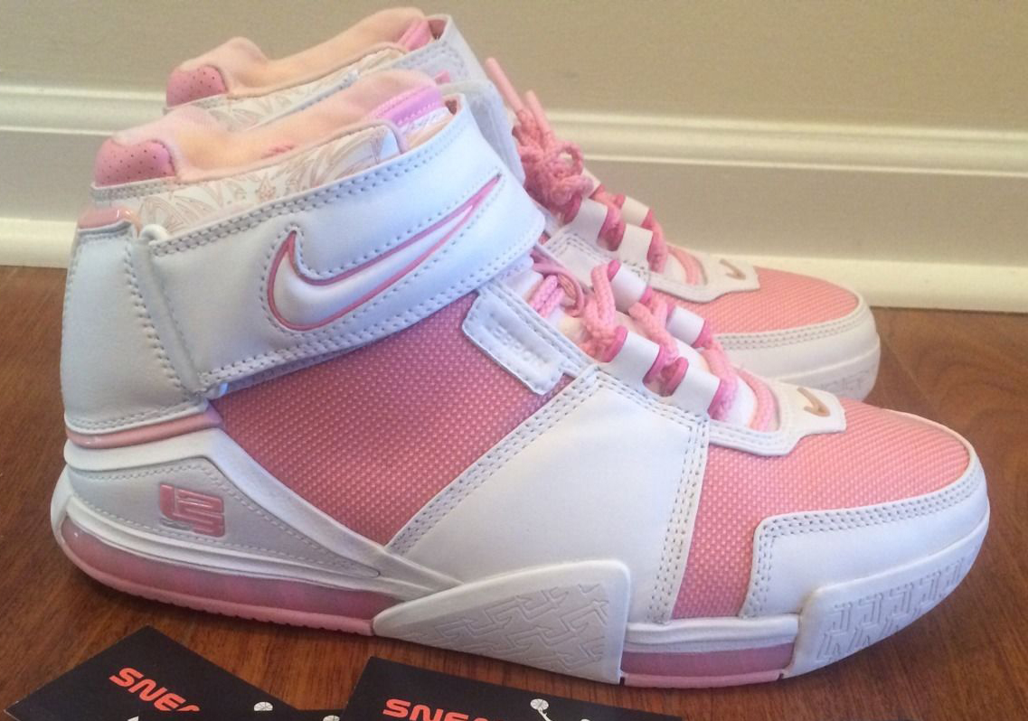 Nike Zoom Lebron 2 Gloria Pe Ebay 02