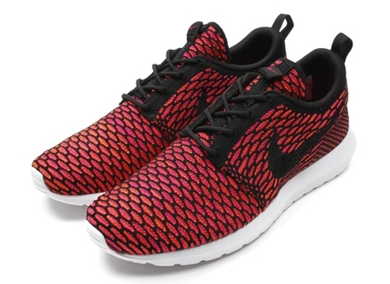 Roshe Flyknit Nm 02