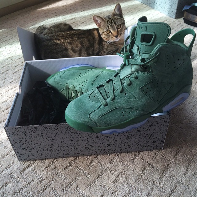 Air Jordan 6 Evergreen 01