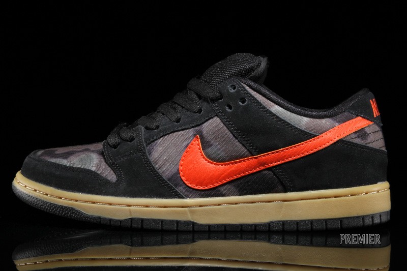 Nike Sb Dunk Low Brain Anderson 06