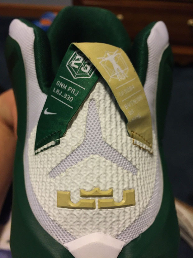 Nike Lebron 12 Svsm Home Pe 3