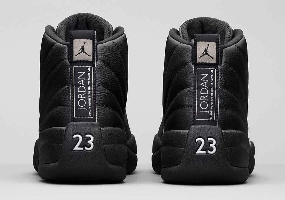 Air Jordan 12 Poster Wing It 2