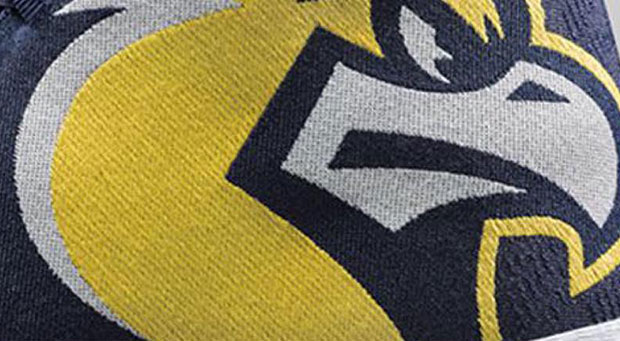 Air Jordan Xx9 Marquette Golden Eagles 1