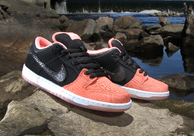 Premier Skate Nike Sb Salmon Toe Collection 04
