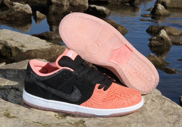 Premier Skate Nike Sb Salmon Toe Collection 05