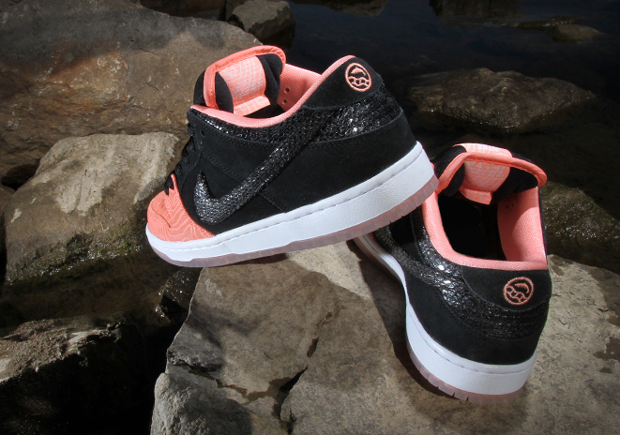 Premier Skate Nike Sb Salmon Toe Collection 07