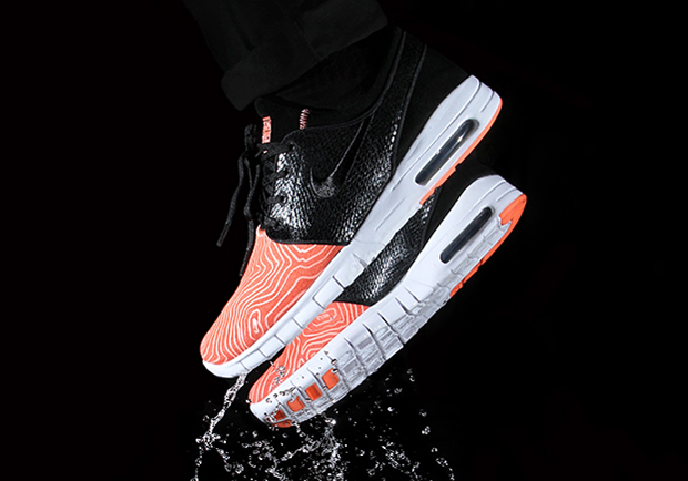 Premier Skate Nike Sb Salmon Toe Collection 10