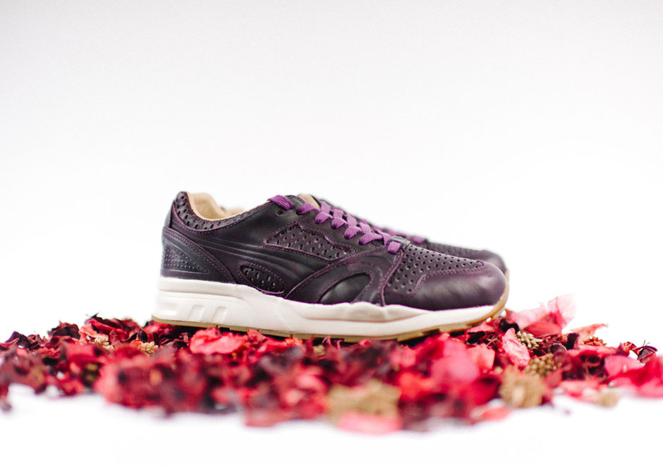 Puma Xt2 Plus Leather Turtle Dove Pack 6