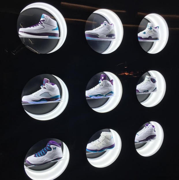 Air Jordan Retros Grape Hornets 2