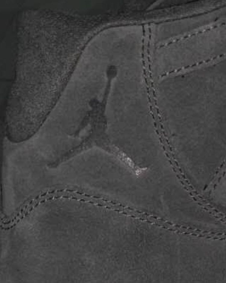 Air Jordan 11 Suede Details 2