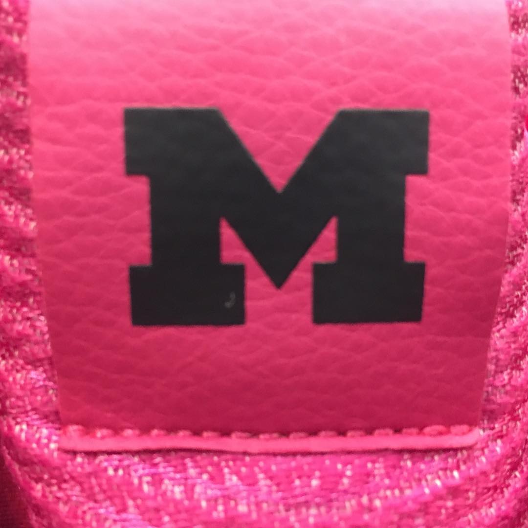 Air Jordan 31 Coaches Vs Cancer Michigan Pe 03