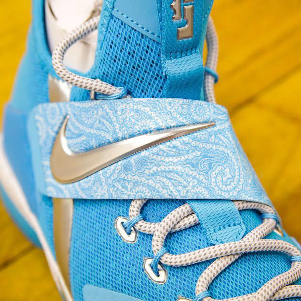 Nike Lebron 14 Wwe Kids Exclusives 02