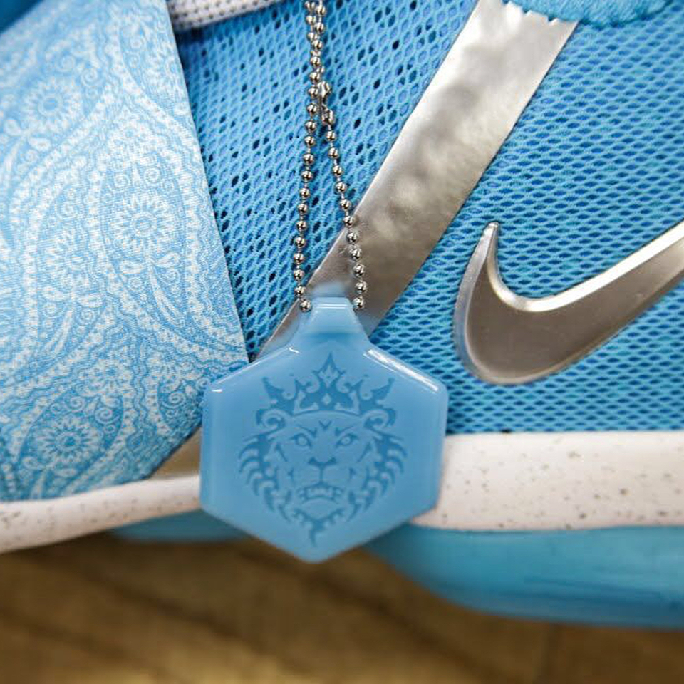 Nike Lebron 14 Wwe Kids Exclusives 03