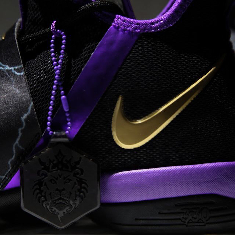 Nike Lebron 14 Wwe Kids Exclusives 09