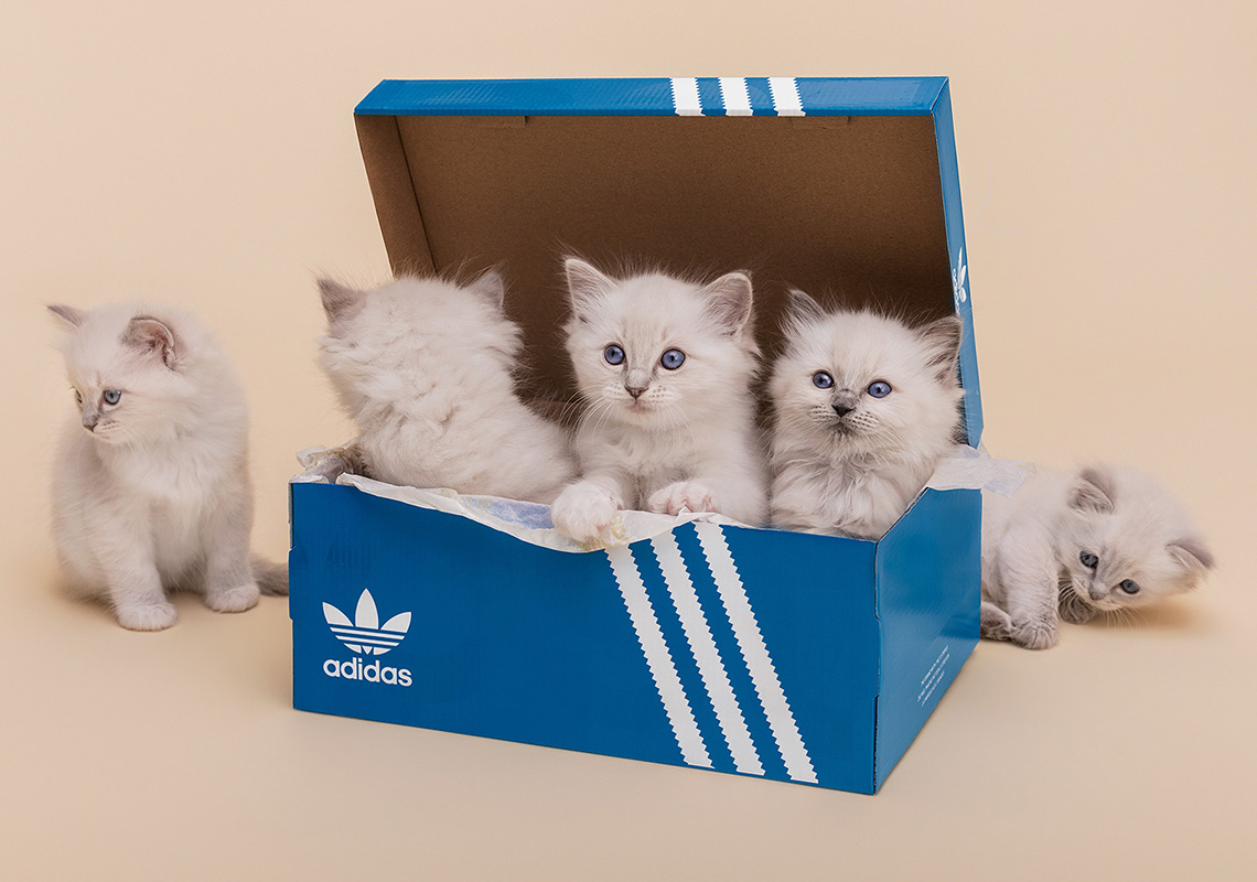 Sneakersnstuff Adidas I 5923 Release Info 1