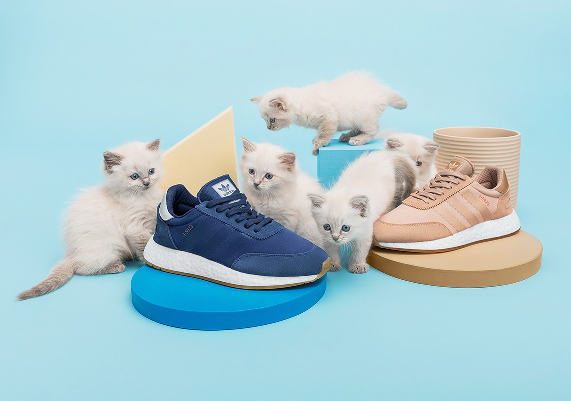 These Kittens Don't Come With Sneakernstuff's Next adidas Collaboration
