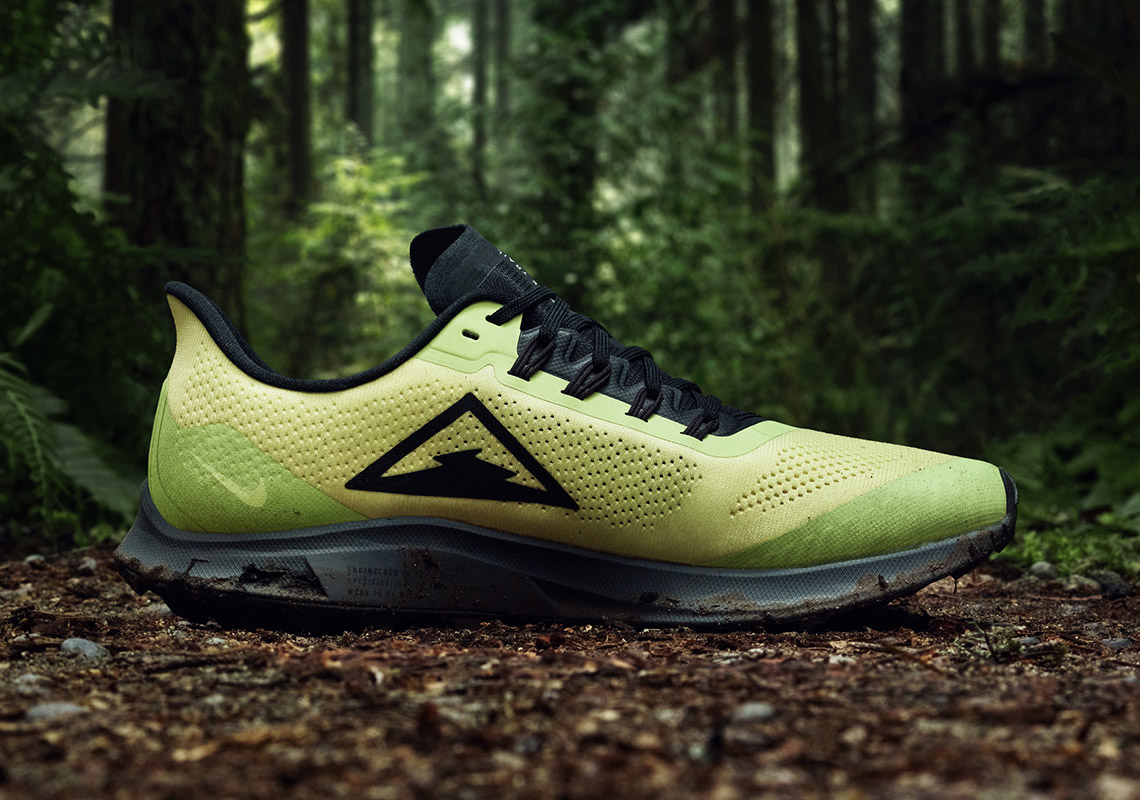 Nike Pegasus 36 Trail 3