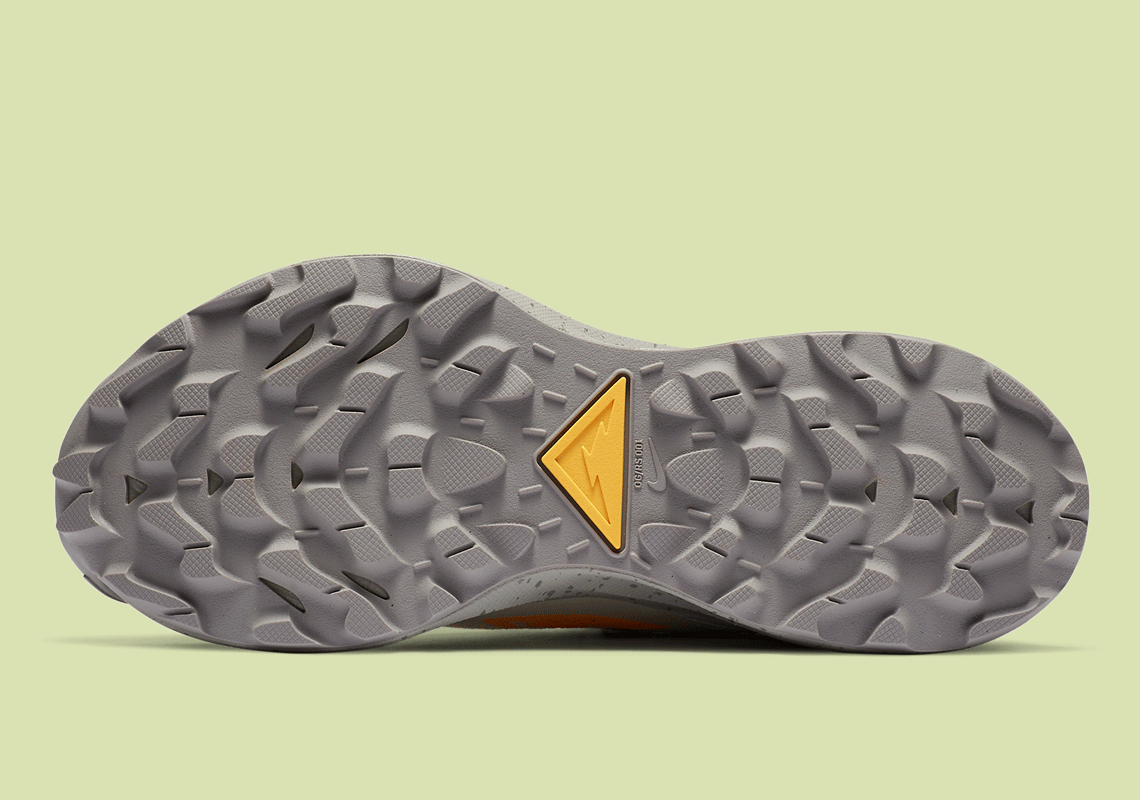 Nike Pegasus Trail 2 Ck4309 001 1